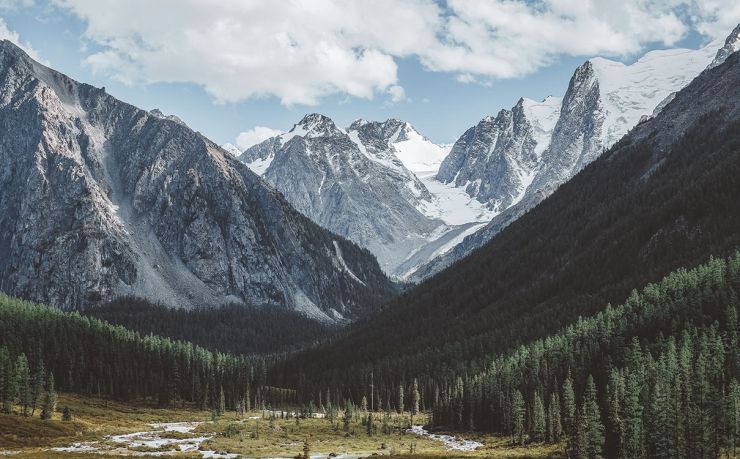 墨西哥中介移民